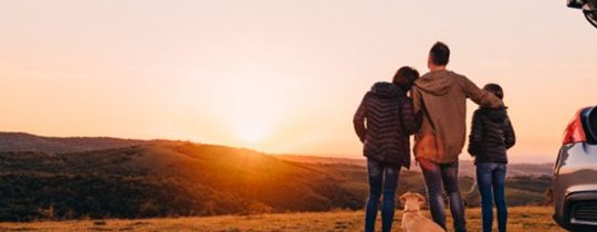 Apenas aqueles que perderam a mãe sabem o que significa dizer adeus ao amor verdadeiro
