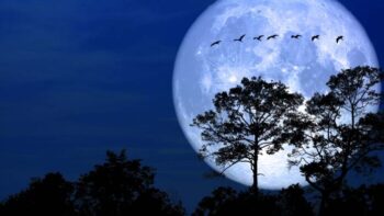 Prepare-se para a “Lua de Neve”: o que significa, como e quando vê-la