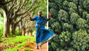 A “mãe das florestas” plantou mais de 8 mil árvores durante 80 anos
