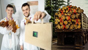 Estudantes criam papel de folhas caídas de árvores para evitar o desmatamento nas florestas