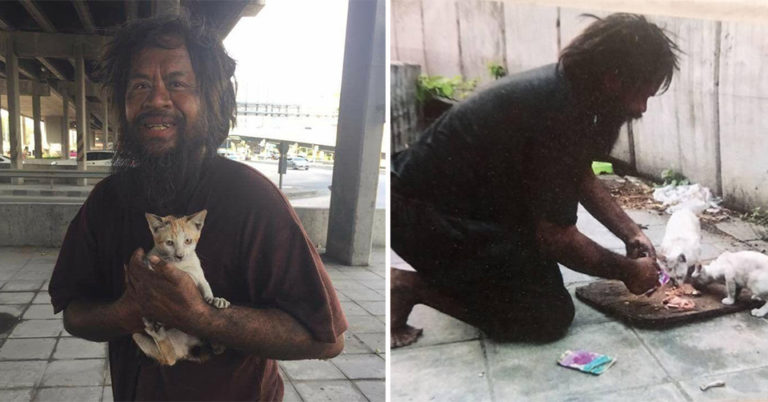 Morador de rua prefere ficar sem comida para alimentar gatos abandonados
