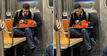 Homem flagrado amamentando um gatinho no metrô restaura a fé na humanidade