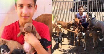 Adolescente abre abrigo único e já resgatou mais de 26 animais de rua
