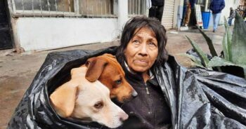 Mulher sem-teto dorme em um saco de lixo para ficar junto de seus seis cachorros