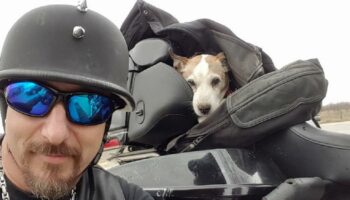 Motociclista resgata cachorro do abuso físico na estrada