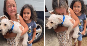 Menina chora de felicidade quando finalmente encontra seu cachorro perdido