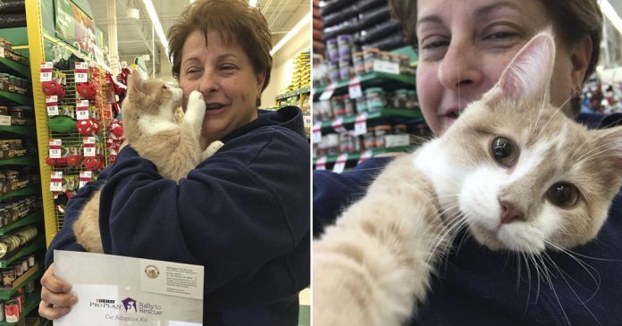 Gato resgatado está tão feliz por ser adotado que não para de abraçar sua mãe humana