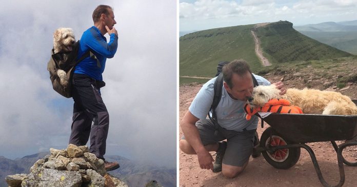 Homem leva seu cachorro com câncer para um último passeio pelas montanhas para se despedir dele