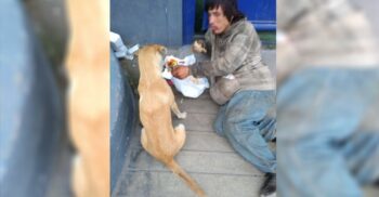 Morador de rua é visto compartilhando com seu cachorro a pouca comida que conseguiu