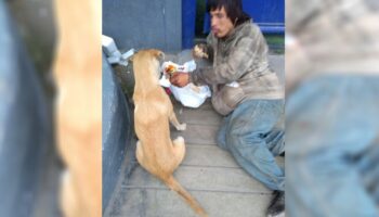 Morador de rua é visto compartilhando com seu cachorro a pouca comida que conseguiu