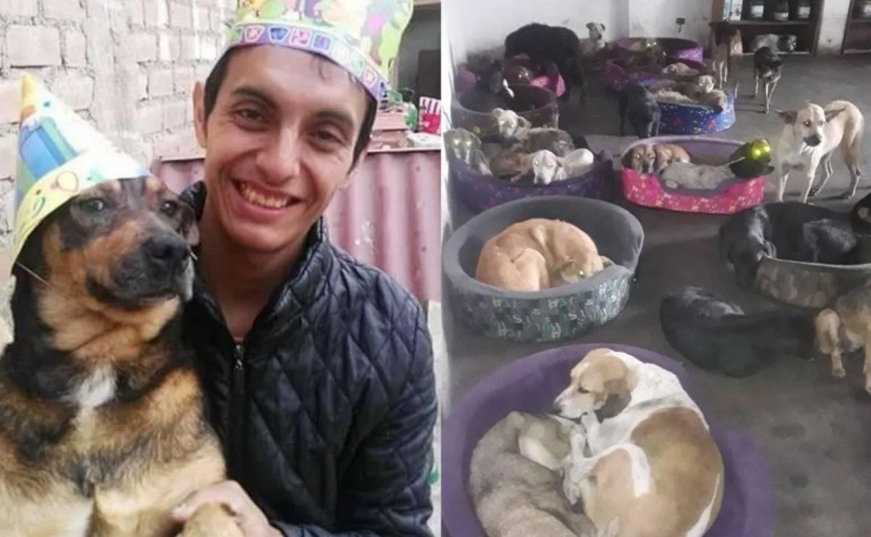 Edwin, o salvador que no leito de morte pediu ajuda para seus 80 cães e 40 gatos