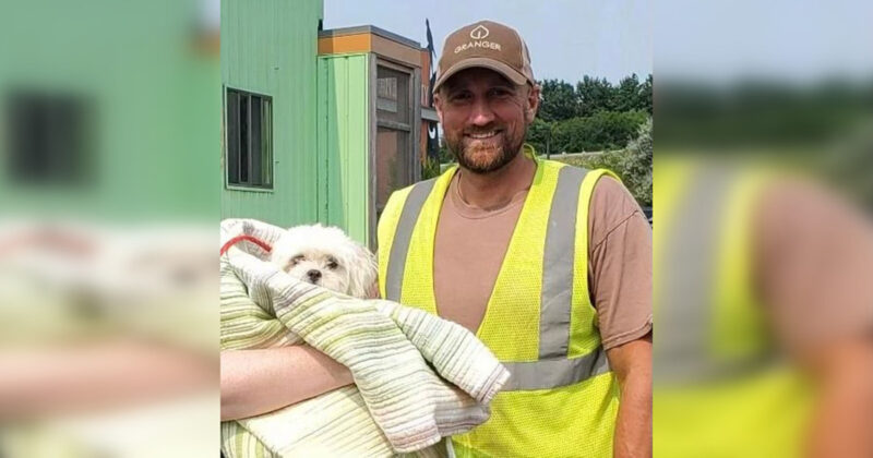 Motorista de caminhão de lixo encontra cachorrinho durante a coleta e salva sua vida
