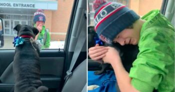 Família surpreende menino na escola com seu cachorro que havia se perdido