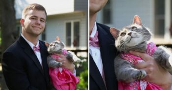 Jovem não conseguiu encontrar par para o baile da escola, então ele levou a sua gatinha