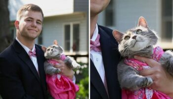 Jovem não conseguiu encontrar par para o baile da escola, então ele levou a sua gatinha