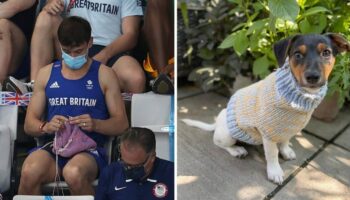 Campeão olímpico é flagrado tricotando roupinha para cachorro durante a final olímpica