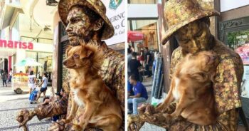 Cão ‘finge’ ser uma estátua para ajudar seu pai humano, que é um artista de rua