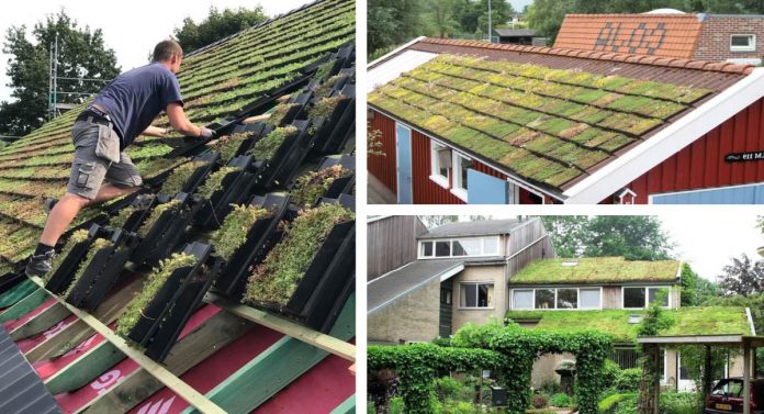 Jovens fabricam telhas verdes que purificam o ar e se adaptam a qualquer telhado
