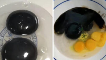 Ovos com gema preta: algo muito estranho está acontecendo na China