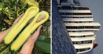 22 pessoas que viram grandes coisas e decidiram fotografar