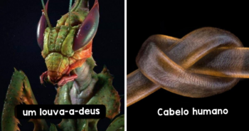 15 fotos macro que mostram o lado desconhecido das coisas comuns