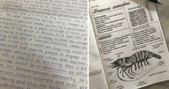 21 pessoas com caligrafia tão perfeita que lhe darão prazer visual