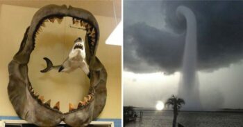 30 fotos impressionantes de coisas incomuns