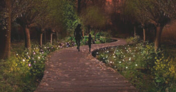 Holanda cria o primeiro parque do mundo iluminado por plantas