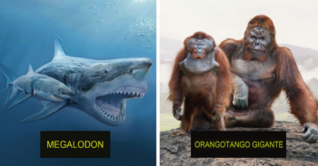 15 comparações de tamanho de animais extintos com os modernos