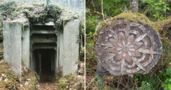 15 pessoas que entraram na floresta e encontraram coisas misteriosas