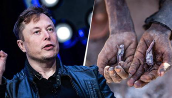 Elon Musk cumpre sua palavra e doa 5,7 bilhões de dólares para combater a fome no mundo