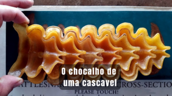 16 imagens surpreendentes que revelam o lado oculto das coisas