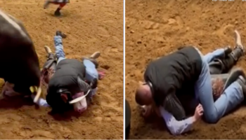 Pai pula em cima do filho inconsciente para protegê-lo do ataque de um touro