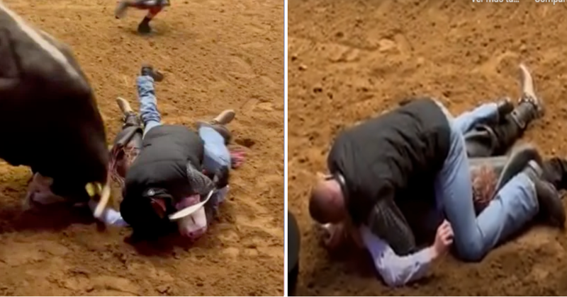 Pai pula em cima do filho inconsciente para protegê-lo do ataque de um touro