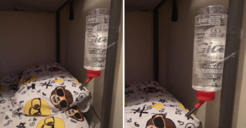 Mãe coloca bebedouro de coelho na cama do filho para que ele não a acordasse com sede