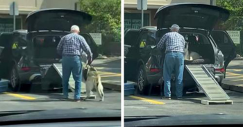 Homem improvisa rampa no carro para que seu cachorro idoso possa subir confortavelmente