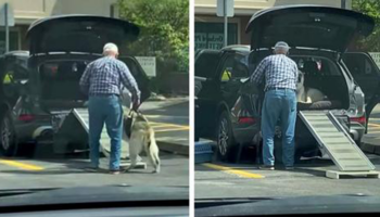 Homem improvisa rampa no carro para que seu cachorro idoso possa subir confortavelmente