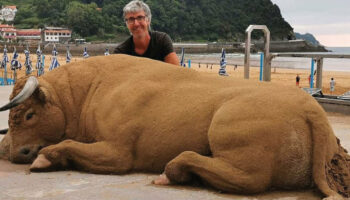 Artista faz incríveis esculturas de animais apenas com areia