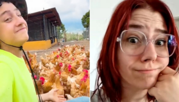 Vegana criticou menino agricultor no TikTok por criar galinhas e ele lhe deu a melhor resposta