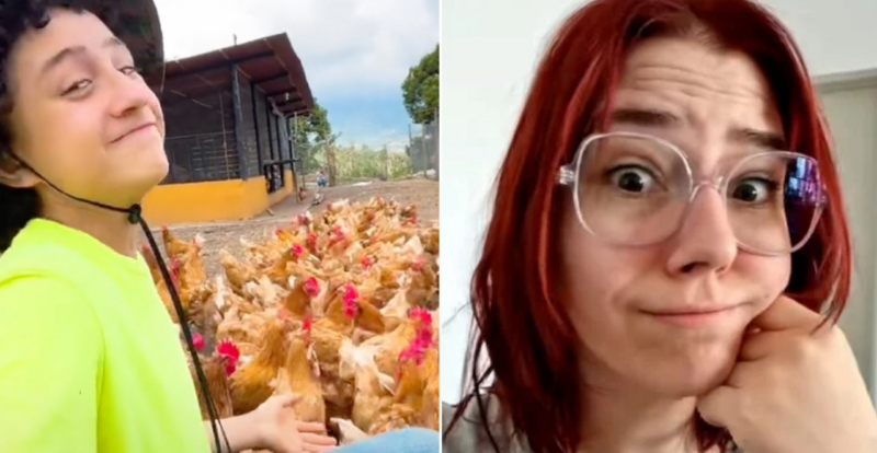Vegana criticou menino agricultor no TikTok por criar galinhas e ele lhe deu a melhor resposta