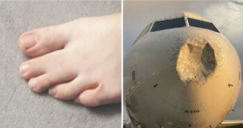 20 fotos que revelam que o mundo ainda está cheio de surpresas