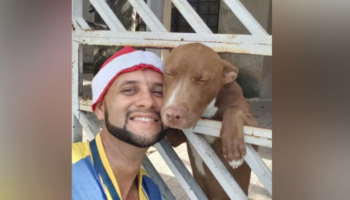Carteiro simpático tira selfies com todos os animais que faz amizade no trabalho em SP