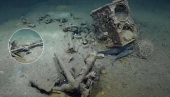 Restos de navio baleeiro de 207 anos são encontrados no fundo do mar