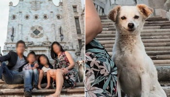 Cachorrinho de rua ‘se infiltra’ em foto familiar e se torna protagonista