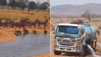 Patrick Kilonzo, o homem que viaja várias horas para levar água para animais selvagens no Quênia