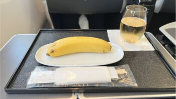 Vegano pede prato sem carne durante o voo e recebe apenas uma banana