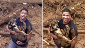 Jovem tem casa arrastada pela lama, mas encontrar seu cachorro vivo restaurou sua felicidade