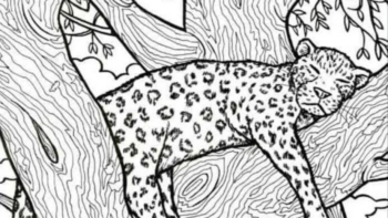 Desafio Visual: Encontre o peixe na imagem do leopardo em 10 segundos