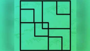 Desafio visual do dia: descubra quantos quadrados tem na imagem