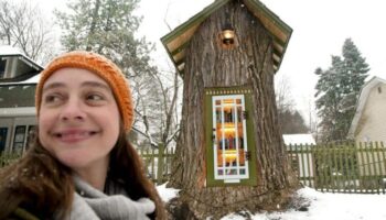 Mulher transforma árvore de 110 anos em pequena biblioteca gratuita em seu jardim